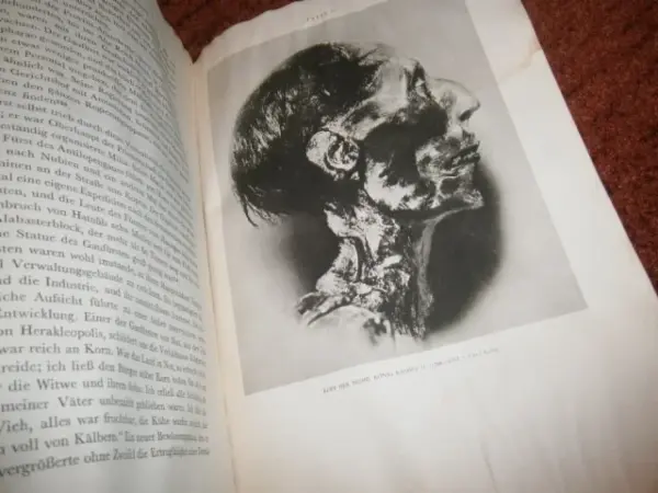 Kniha: J. H. Breasted - Geschichte Ägyptens 9