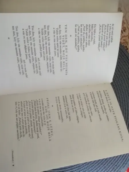 Navštívení krásy - Italská renesanční lyrika 3