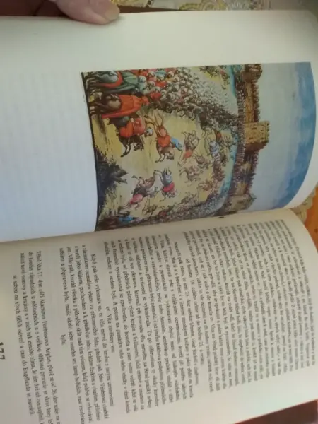 Svět za tří českých králů - kniha 6