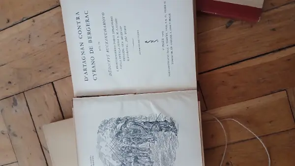 Sada knih Hrabě d'Artagnan a Cyrano de Bergerac (1929) 6