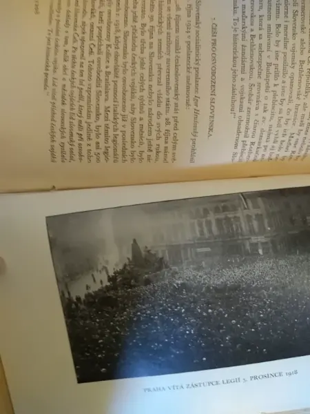 Knižní soubor Česká politika a 28. říjen 1918 17