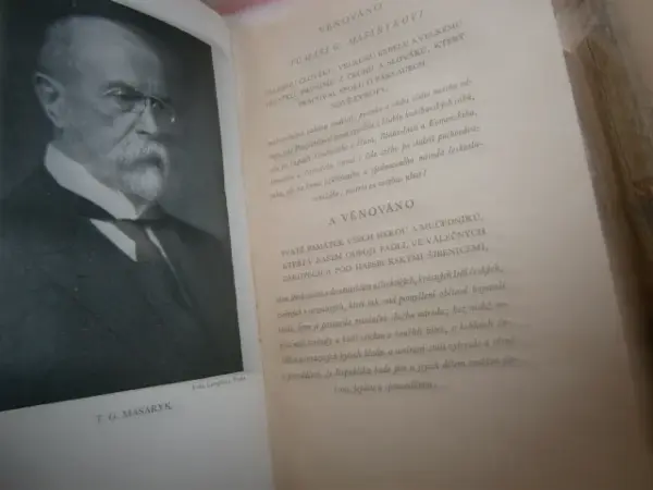Knižní soubor Česká politika a 28. říjen 1918 13