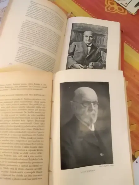 Knižní soubor Česká politika a 28. říjen 1918 15