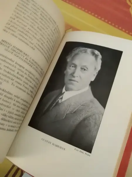 Knižní soubor Česká politika a 28. říjen 1918 16