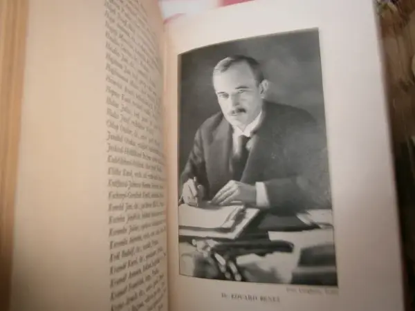 Knižní soubor Česká politika a 28. říjen 1918 14