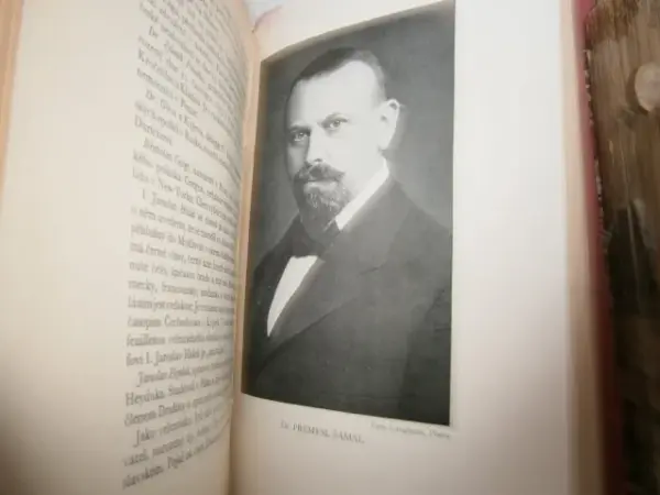 Knižní soubor Česká politika a 28. říjen 1918 18