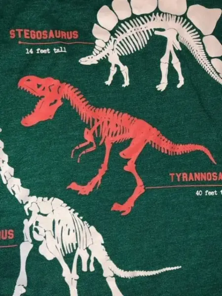 ZELENÉ chlapecké dino triko, 2-4y 3