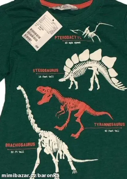 ZELENÉ chlapecké dino triko, 2-4y 4