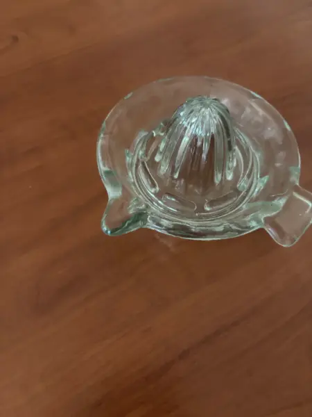 Skleněný odšťavňovač na citrusy 2