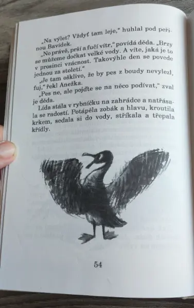 Kniha Můj děda hastrman  5