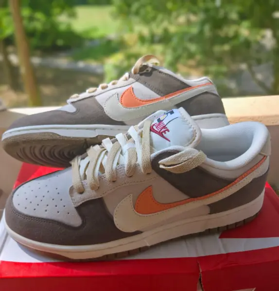 Nike Dunk Low SE – Summit White / Brown,Vel.43 2