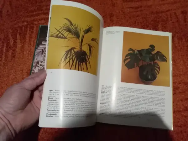 Retro knihy o pěstování květin a Flora Olomouc 14