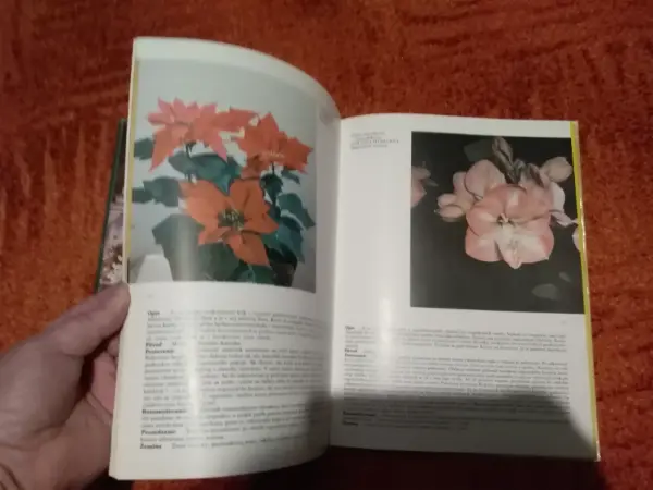 Retro knihy o pěstování květin a Flora Olomouc 10