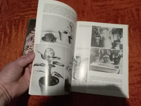 Retro knihy o pěstování květin a Flora Olomouc 11