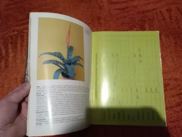 Retro knihy o pěstování květin a Flora Olomouc 9