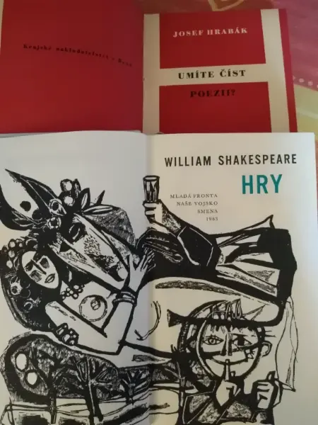 L.Kundera-Ztráty a nálezy 13