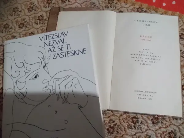 L.Kundera-Ztráty a nálezy 3