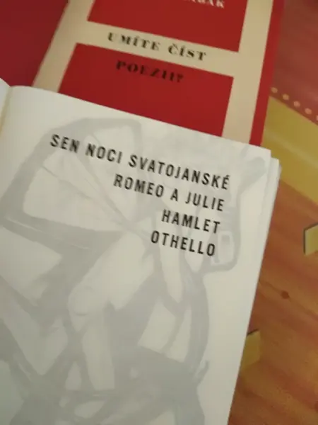L.Kundera-Ztráty a nálezy 12