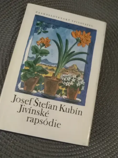 L.Kundera-Ztráty a nálezy 19