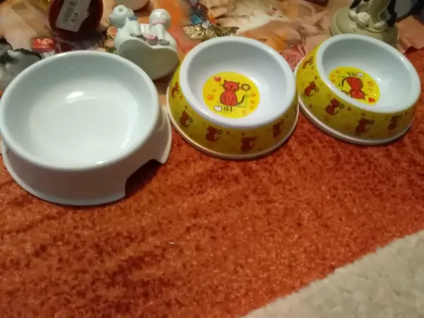 Kočičí věci-potřeby-dekorace aj. 6