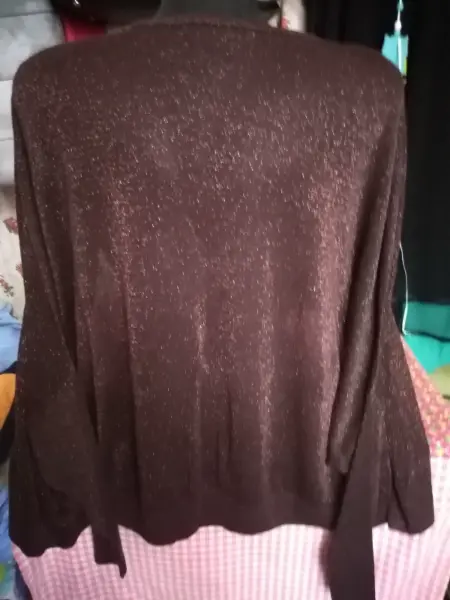 Třpytivý svetřík s netopýrem 3