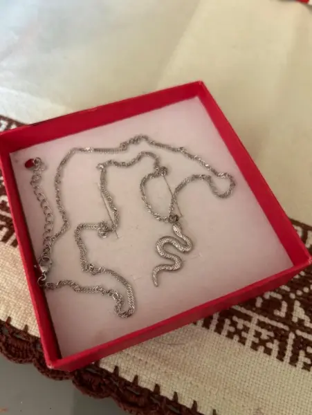 Stříbrný náhrdelník s hadem z chirurgické oceli 2