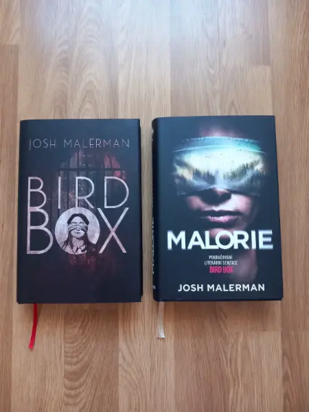 Bird box a Malorie - Josh Malerman