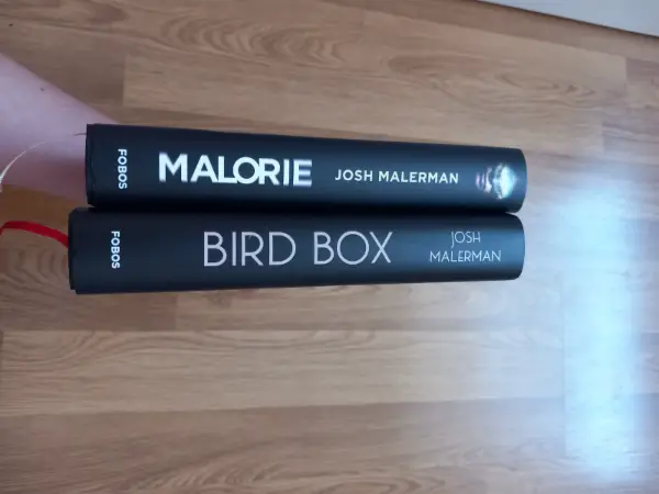 Bird box a Malorie - Josh Malerman 4