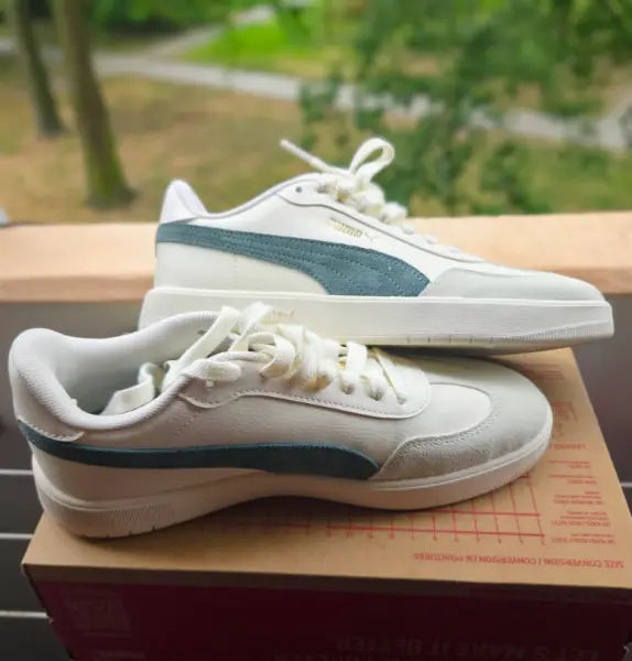 Puma Ascenso - Frosted Ivory/Eucalyptus, vel. 38 2
