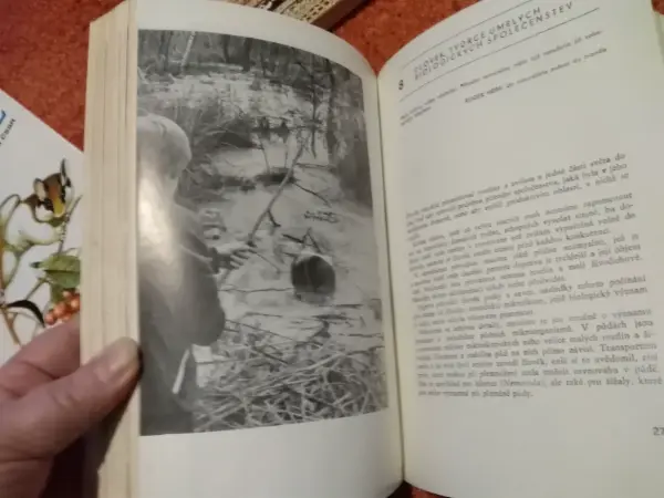 Kniha Ohrožená příroda - Jean Dorst 4