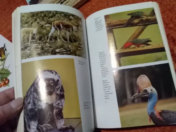 Kniha Ohrožená příroda - Jean Dorst 10