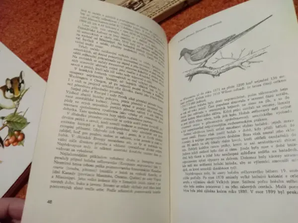 Kniha Ohrožená příroda - Jean Dorst 13