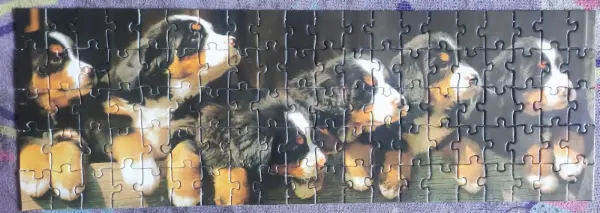 Puzzle 100 ks psi 