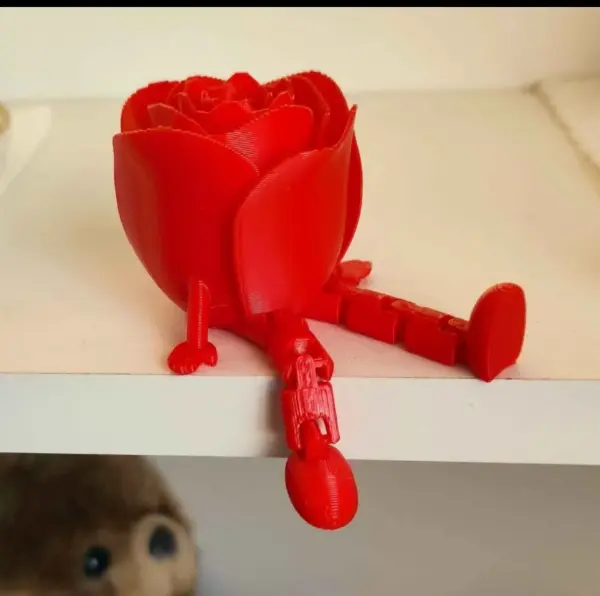 Sedící růžička, která nikdy nezvadne 9