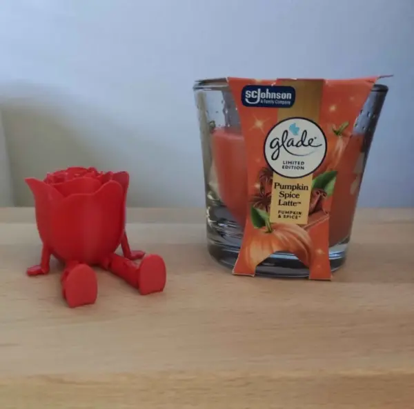 Sedící růžička, která nikdy nezvadne