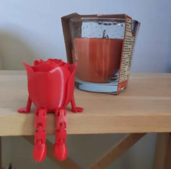Sedící růžička, která nikdy nezvadne 3