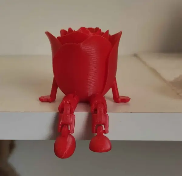Sedící růžička, která nikdy nezvadne 8