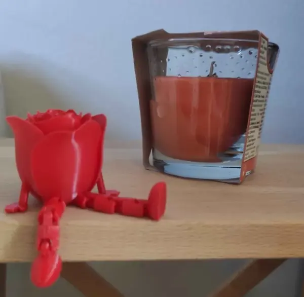 Sedící růžička, která nikdy nezvadne 2