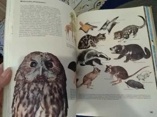 Kniha Příroda: Země, rostliny, živočichové (Albatros)