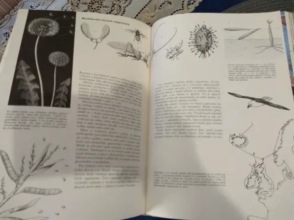 Kniha Příroda: Země, rostliny, živočichové (Albatros) 19
