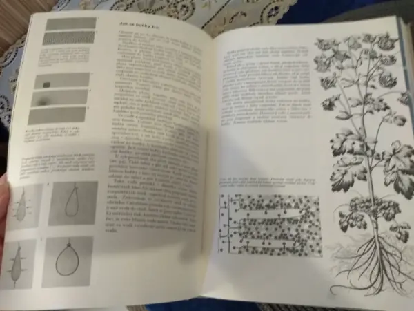 Kniha Příroda: Země, rostliny, živočichové (Albatros) 16