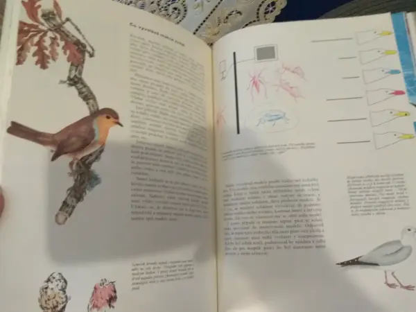 Kniha Příroda: Země, rostliny, živočichové (Albatros) 12