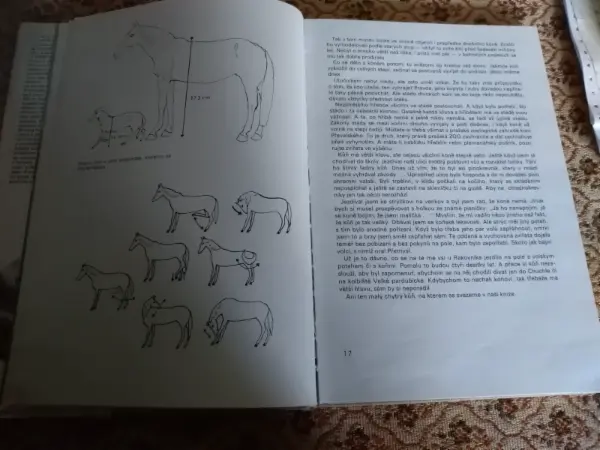 Knihy o koních 16