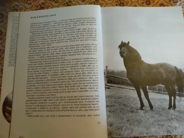 Knihy o koních 19