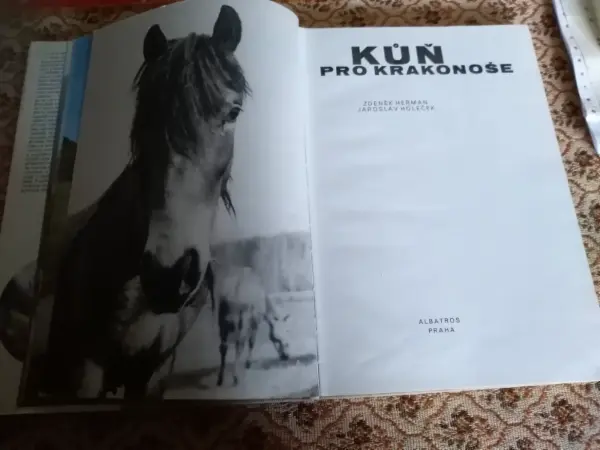 Knihy o koních 14