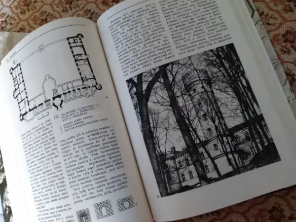 Lietuvos architektūros istorija I