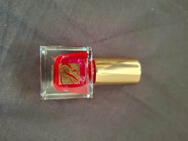 Lak na nehty Estée Lauder Pure Color - Le Smoking