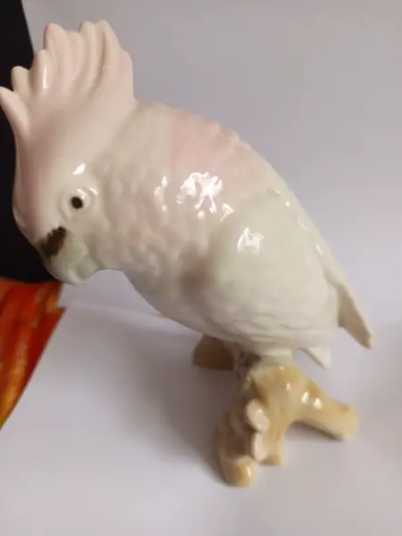 Porcelánový papoušek  3